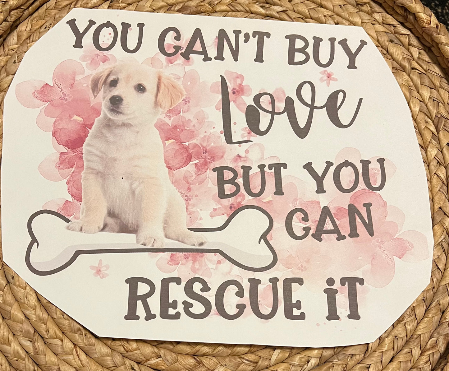 Adult you can’t buy love but you can rescue it