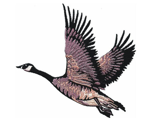 Emb - Canadian goose
