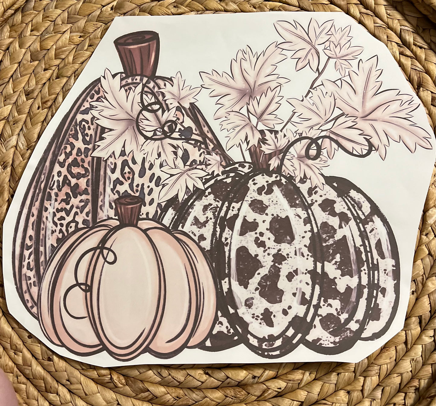 Adult leopard fall pumpkins
