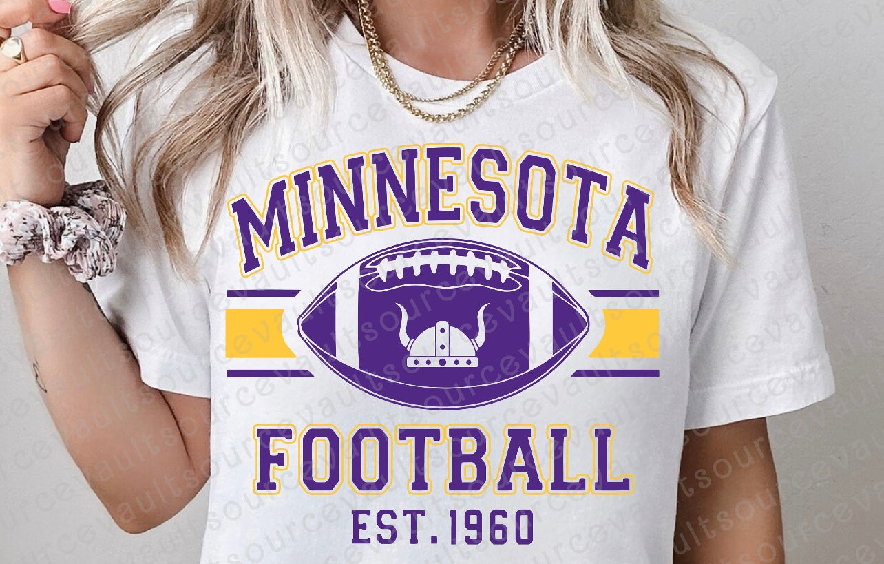 Sub - Minnesota football 2