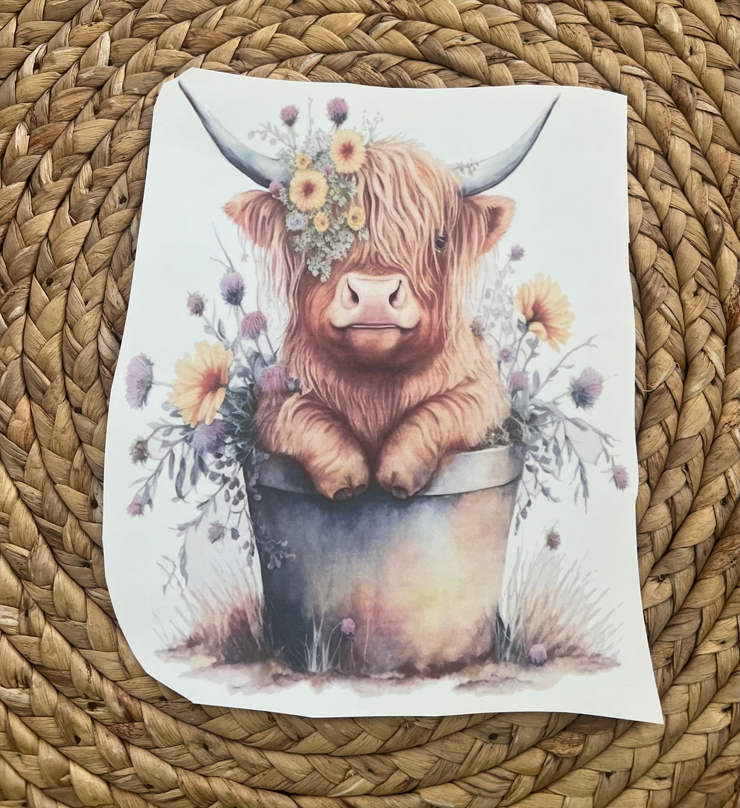Toddler floral highland cow