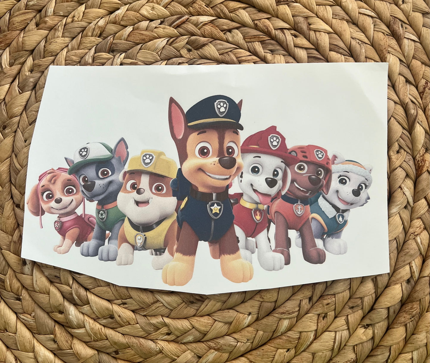 Toddler the patrol