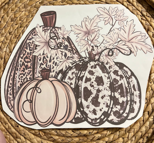 Adult leopard fall pumpkins