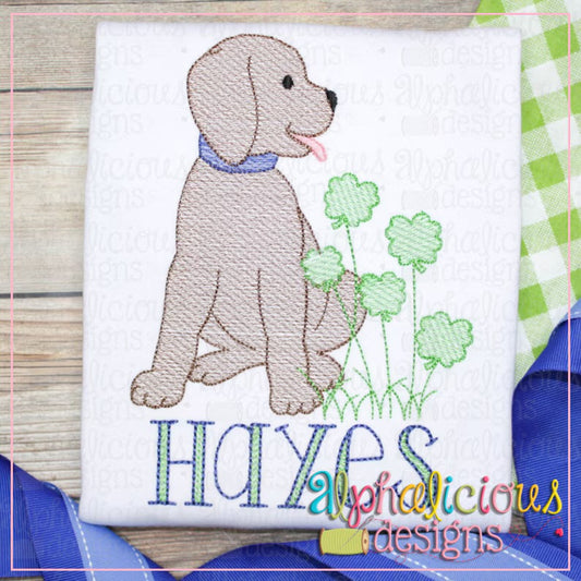 Emb - boy shamrock dog