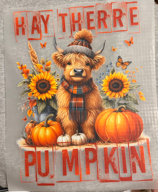 Cow hay there pumpkin