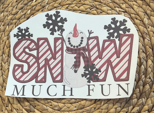 Youth snow much fun