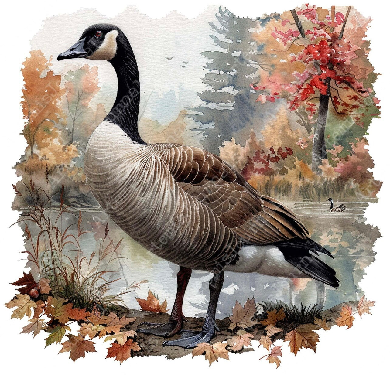 Standing up Canadian geese