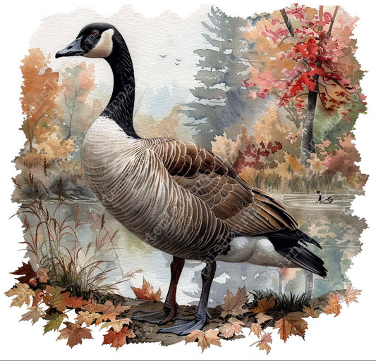 Standing up Canadian geese