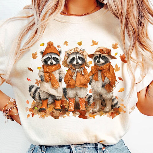 Fall raccoons