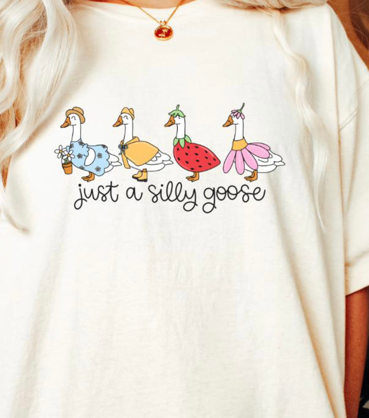 Just a silly goose