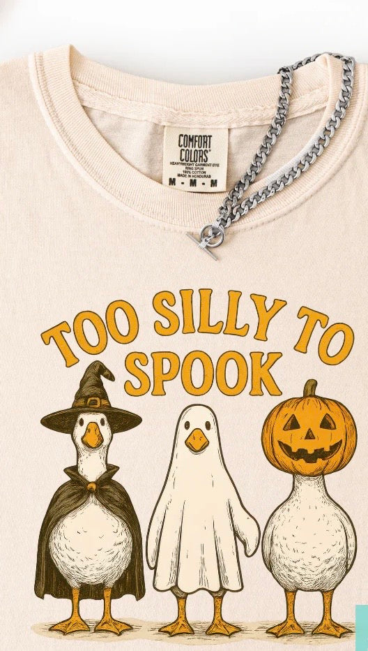 Goose too silly to spook