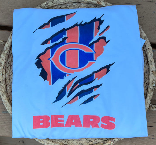 Sub - ripped bears
