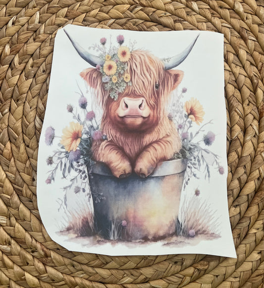Toddler floral highland cow