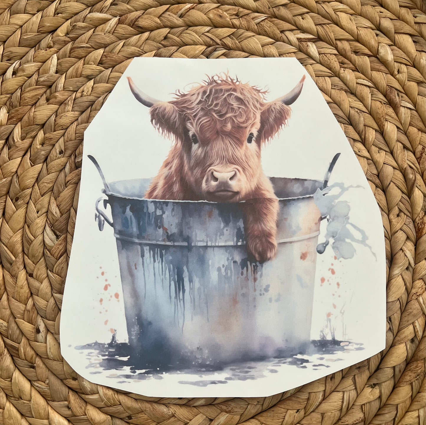 Toddler highland cow